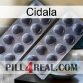 Cidala 31